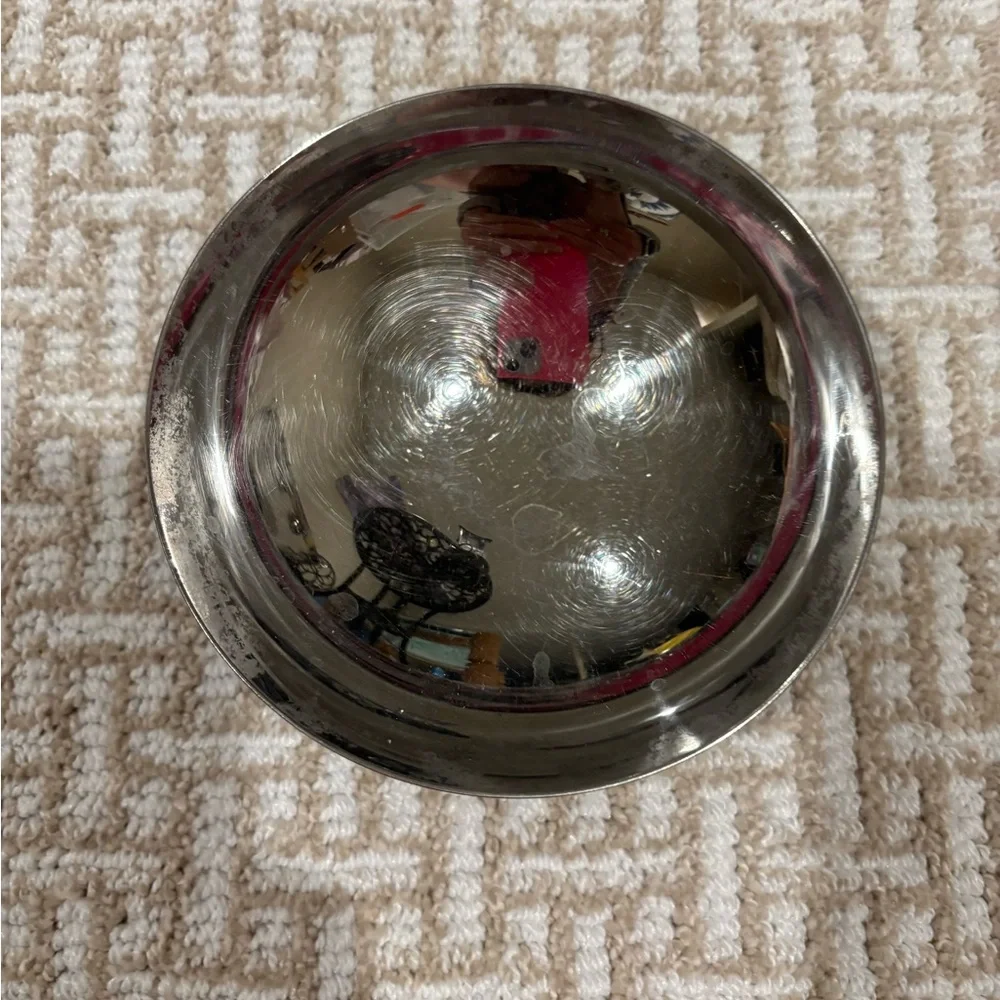 Wet Noz extra small pet bowl.  Elevated stainless steel